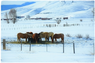 40248847213_dfb8a14e9f_z