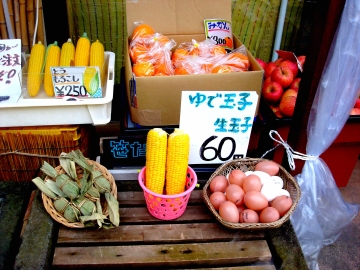 49480559002_4da2cf95f4_k