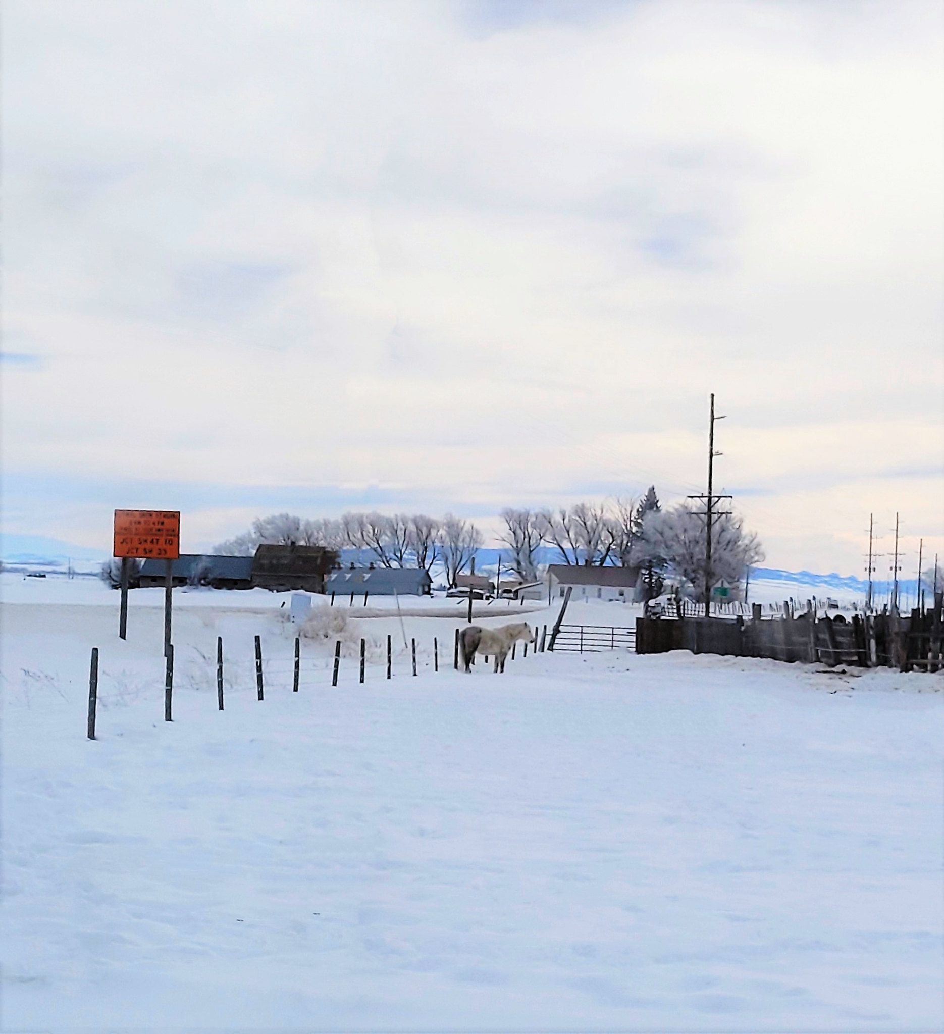 51890379342_a24848d783_k