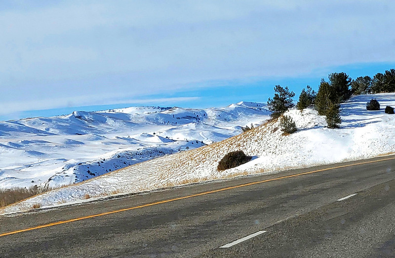 51891428648_262b4ebc05_c