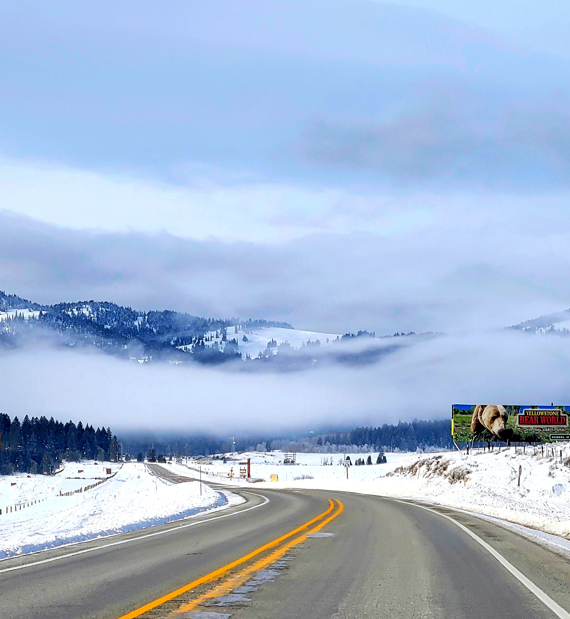 51891676824_6017fa9833_k