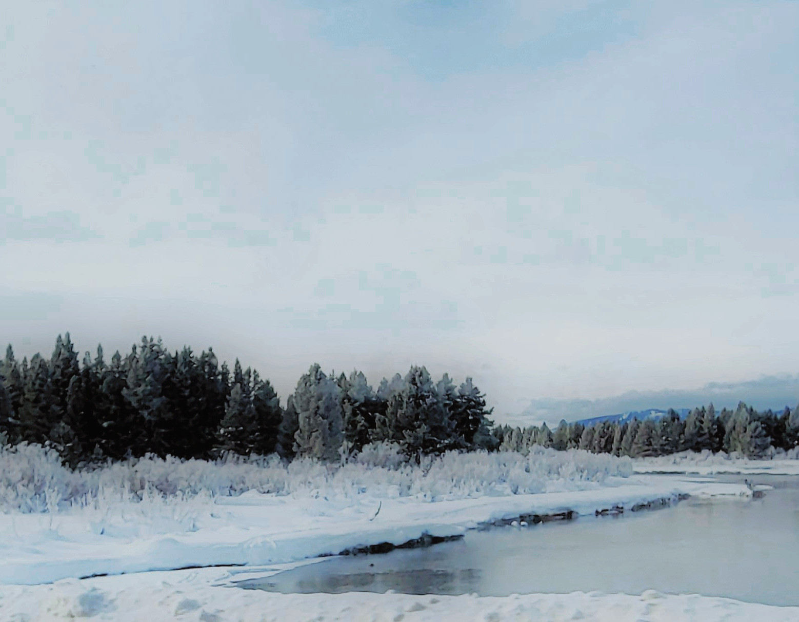 51891676869_f217c642e5_h