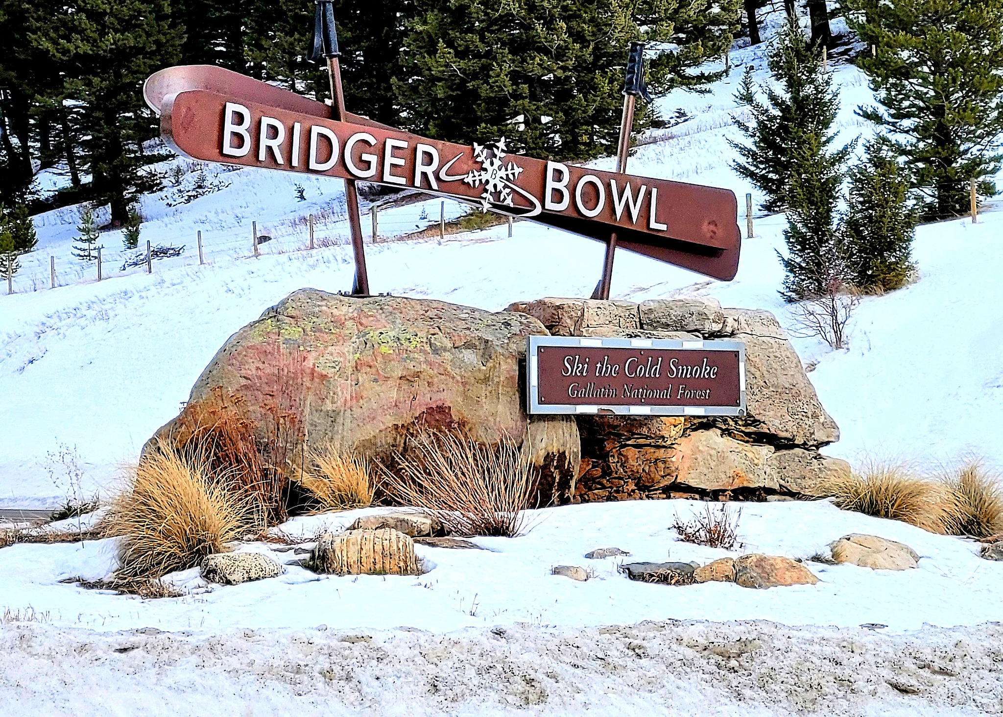 51891676989_80b840441a_k