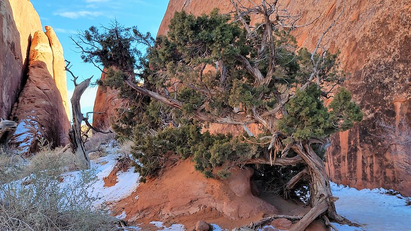 51892439205_571c3b7bc2_c