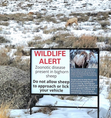 53570394273_8cfe0df2b6_c