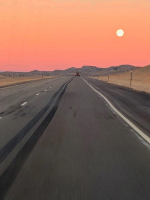 53570394528_cbe319245b_c