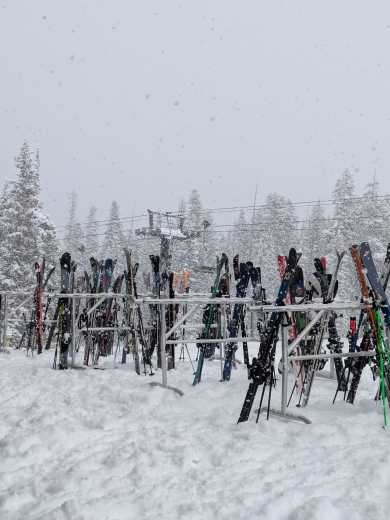 PXL_20250219_192119830